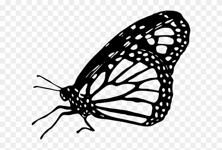 Butterfly Black And White Monarch Butterfly Clipart - Monarch Butterfly Clipart Black And White #399152