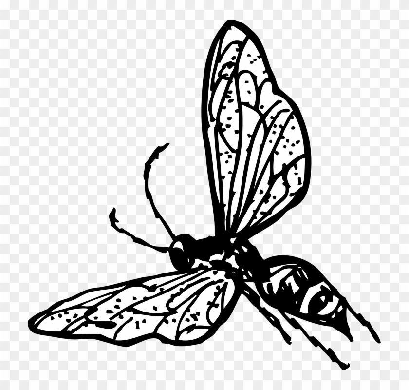 Cartoon Butterfly Image 29, Buy Clip Art - Wasp Clip Art #399172