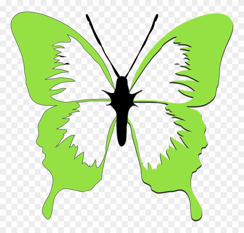 Butterfly Drawing 6, Buy Clip Art - Lime Green Butterfly Clip Art #399188
