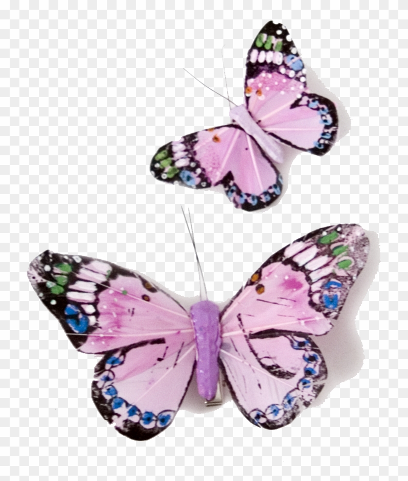 Pink Butterfly Transparent Png - Pink Mornach Butterfly Png #399199