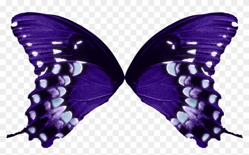 Fairyfindings Butterfly Wings-purple Aqua By Fairyfindings - Butterfly Wings Transparent Background #399209