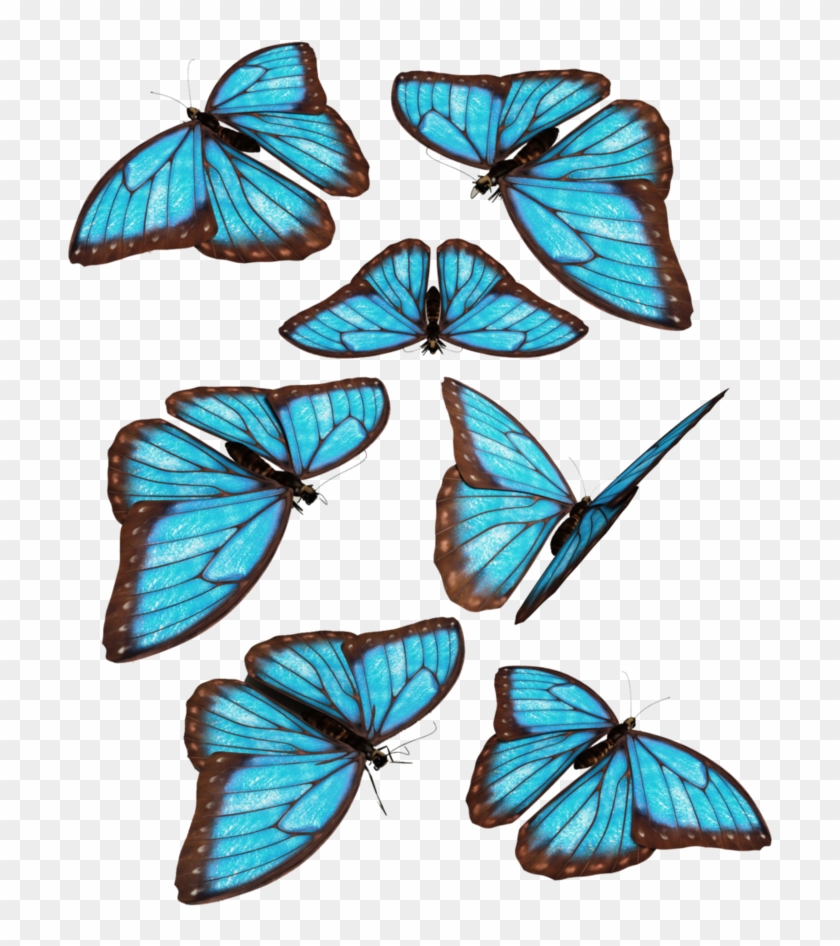 Blue Butterflies By Darkadathea - Group Of Blue Butterfly #399242