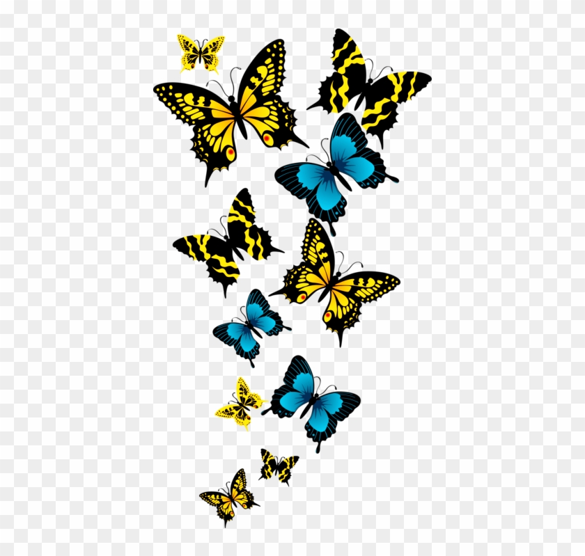 Beautiful Butterfly In Group Transparent Background - Png Format Butterfly  Png Background - Free Transparent PNG Clipart Images Download