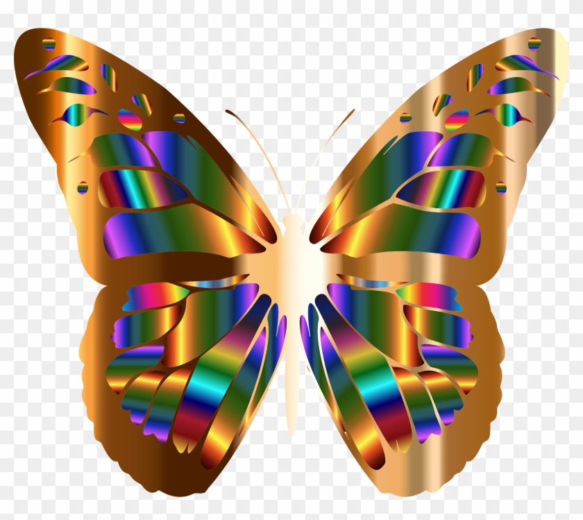 Medium Image - Butterfly #399351