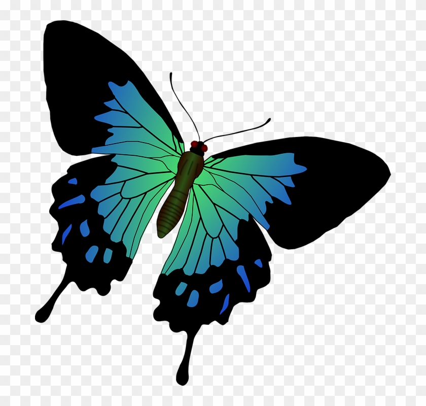 Butterfly Graphics Free 27, Buy Clip Art - ผีเสื้อ เวก เตอร์ #399358