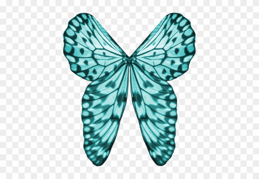 Wings Clipart Light Blue - Butterfly #399372
