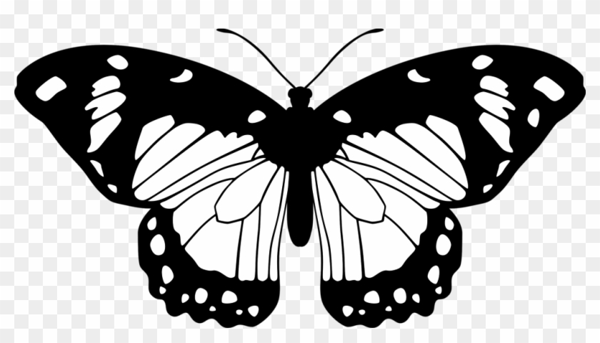 Butterfly By Eiluvision On Deviantart - Butterfly Black And White #399378