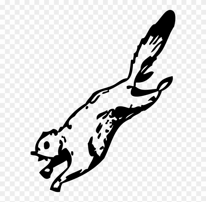 Flying Squirrel Clip Art - Flying Squirrel Coloring Page #399415