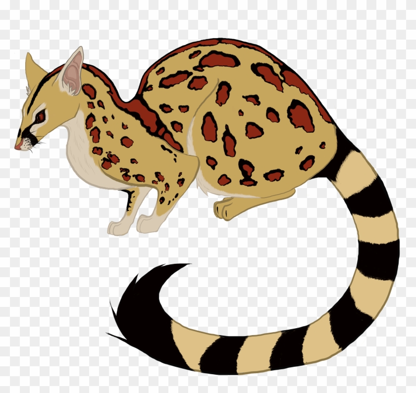 Genet Civet Carnivora Animal Clip Art - Genet Civet Carnivora Animal Clip Art #399519