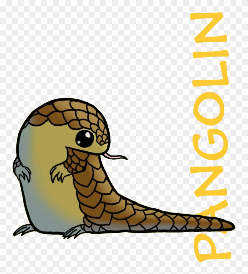 Pangolins Pinterest Animal, Scaly - Cute Pangolin Drawing #399487