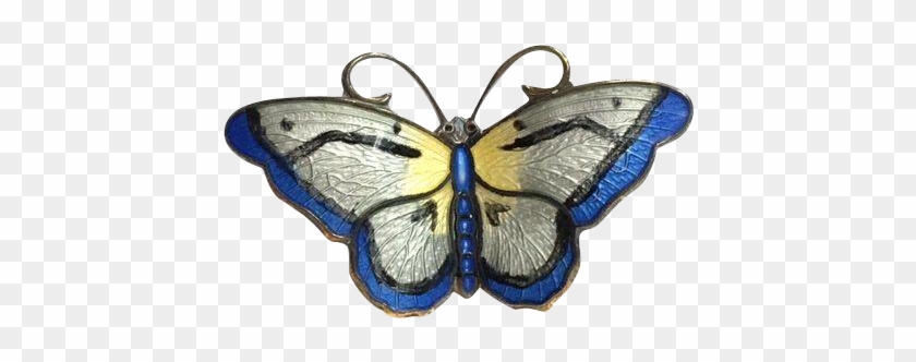 Butterfly Pin - Papilio Machaon #399538