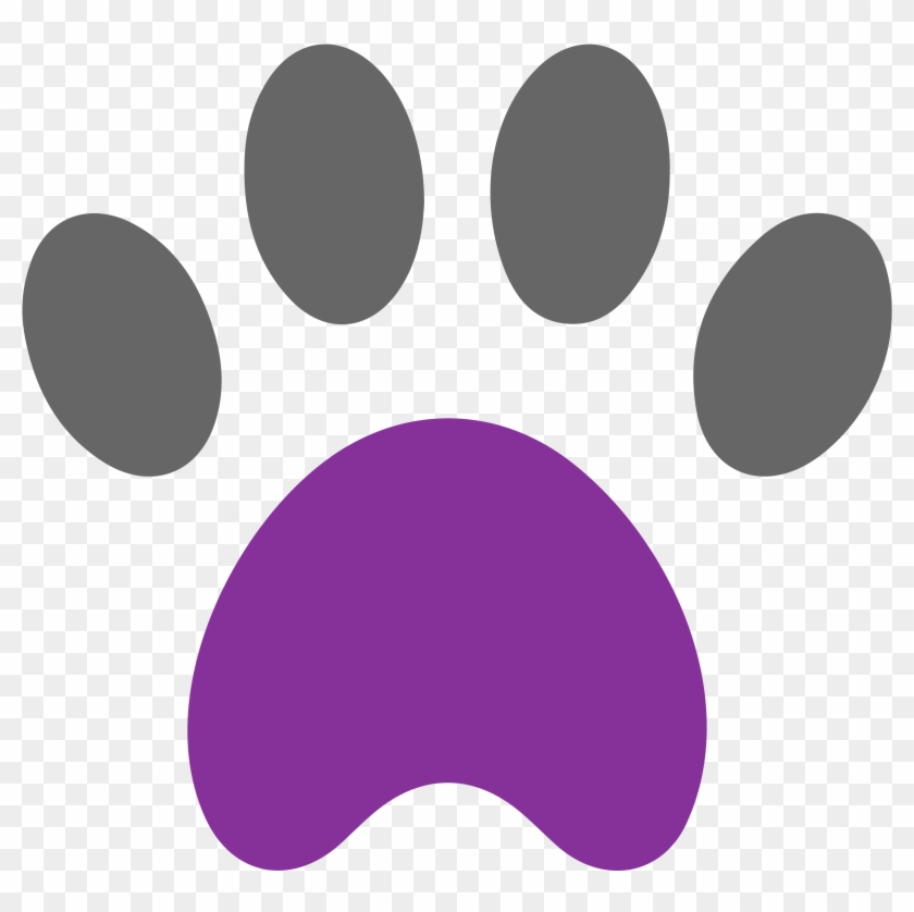 Paws - Cat #399732