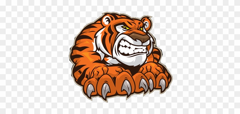Globe Tigers - Decal Tiger Smiles R Car Window Jet Ski (18 X 16,4 #399858