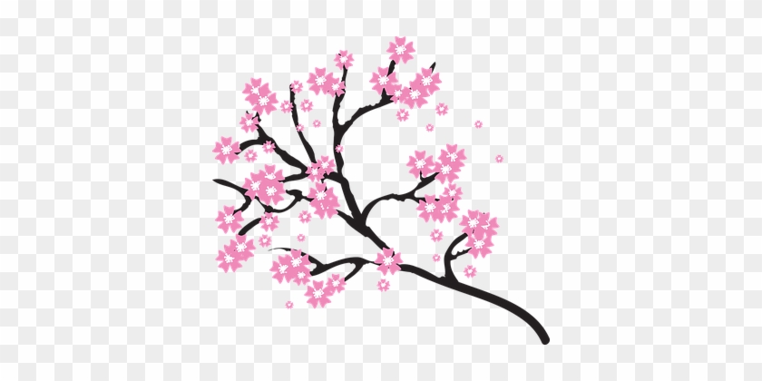 Blossoms Branch Cherry Floral Flowers Natu - Cherry Blossom Tree Clipart #400059