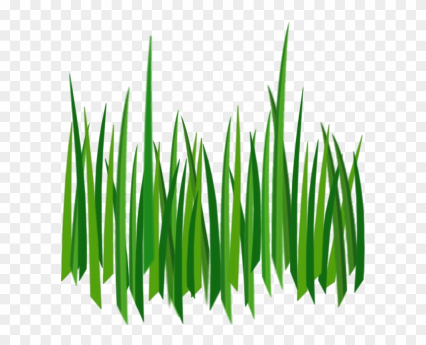 Grass Png Image, Green Grass Png Picture - Grass 2d Png #400060