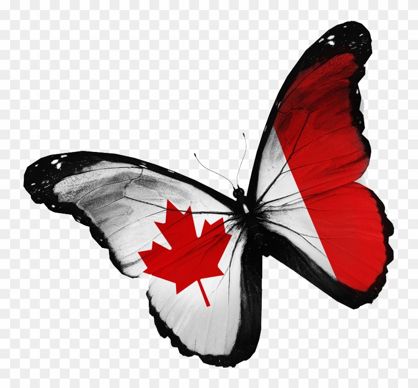 Flag Of Canada Stock Photography National Flag - Flag Of Canada Stock Photography National Flag #400166
