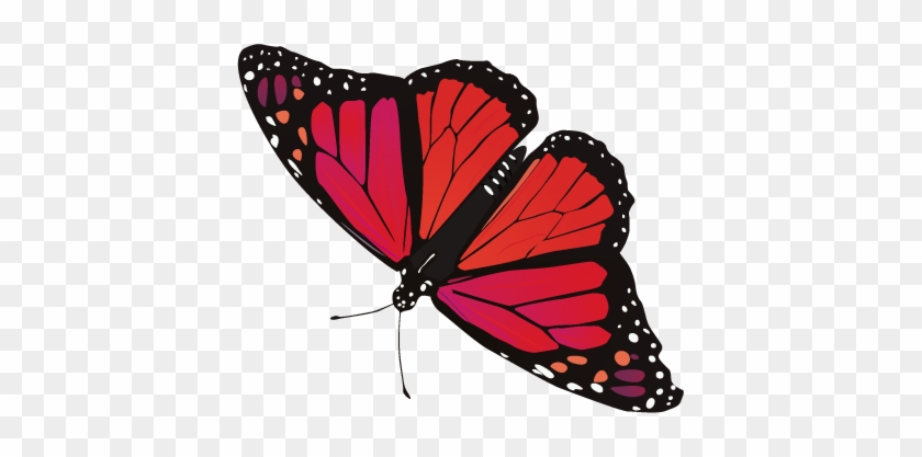 Butterfly Image Png Image - Red Butterfly Transparent Background #400193
