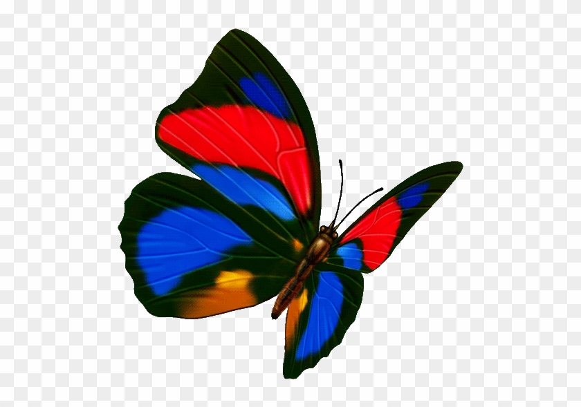 Butterfly Transparency And Translucency Icon - Butterfly Transparency And Translucency Icon #400212
