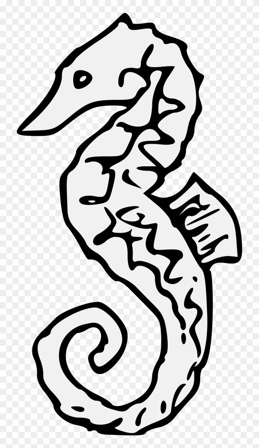 Sea Horse - Seahorse #400379