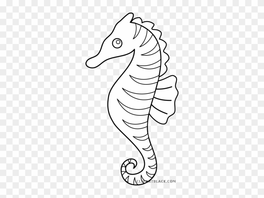 Seahorse Outline Animal Free Black White Clipart Images - Clip Art Sea Horse #400409