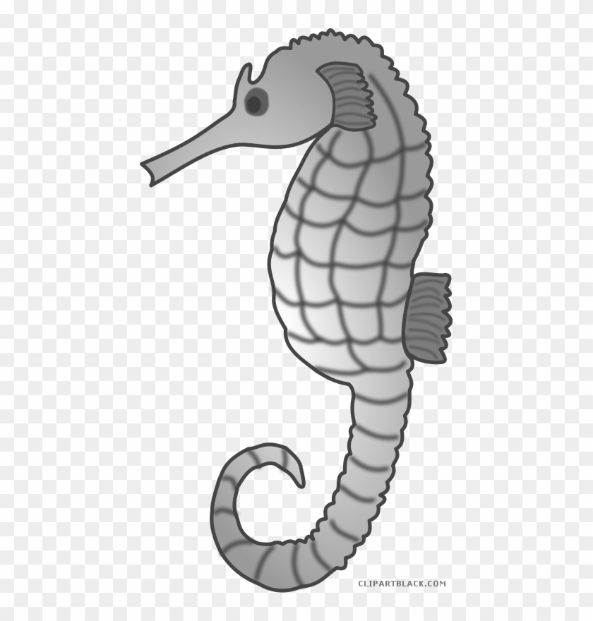 Seahorse Animal Free Black White Clipart Images Clipartblack - Sea Creature Clip Art #400443