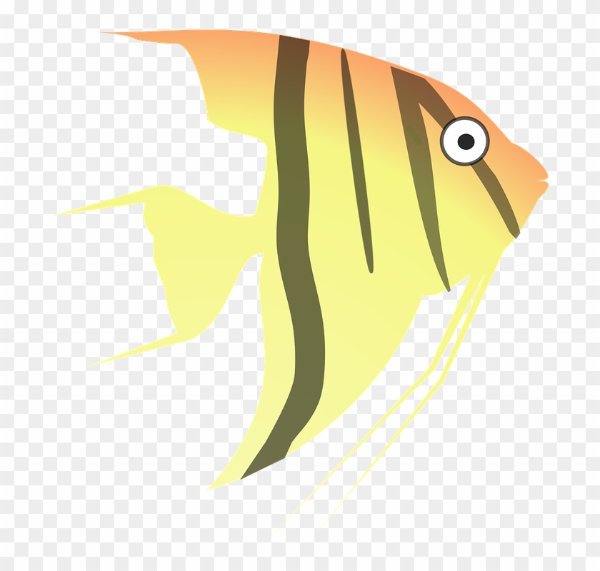 Tropical Fish Clipart 24, Buy Clip Art - Angel Fish Cartoon #400595