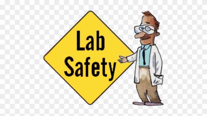 All Lab Work And Experiments Were Done According To - Safety In The Lab #401263