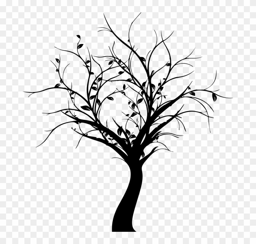 Tree And Shrub Transplant Tallassee Png Paperbark Maple - Midnight Sky #401328