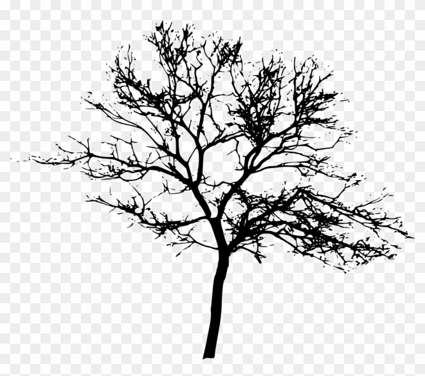 10 Tree Silhouettes - Woman No Longer A Little Girl #401332