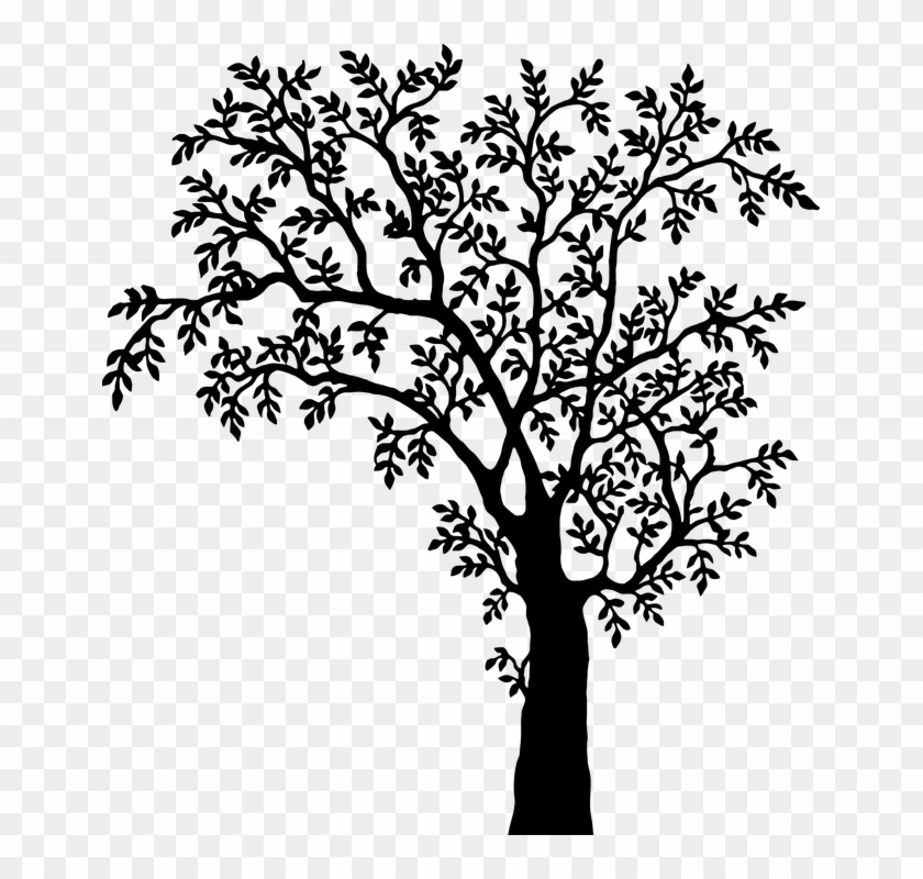 Tree Line Art 17, - Tree With Leaves Silhouette #401337