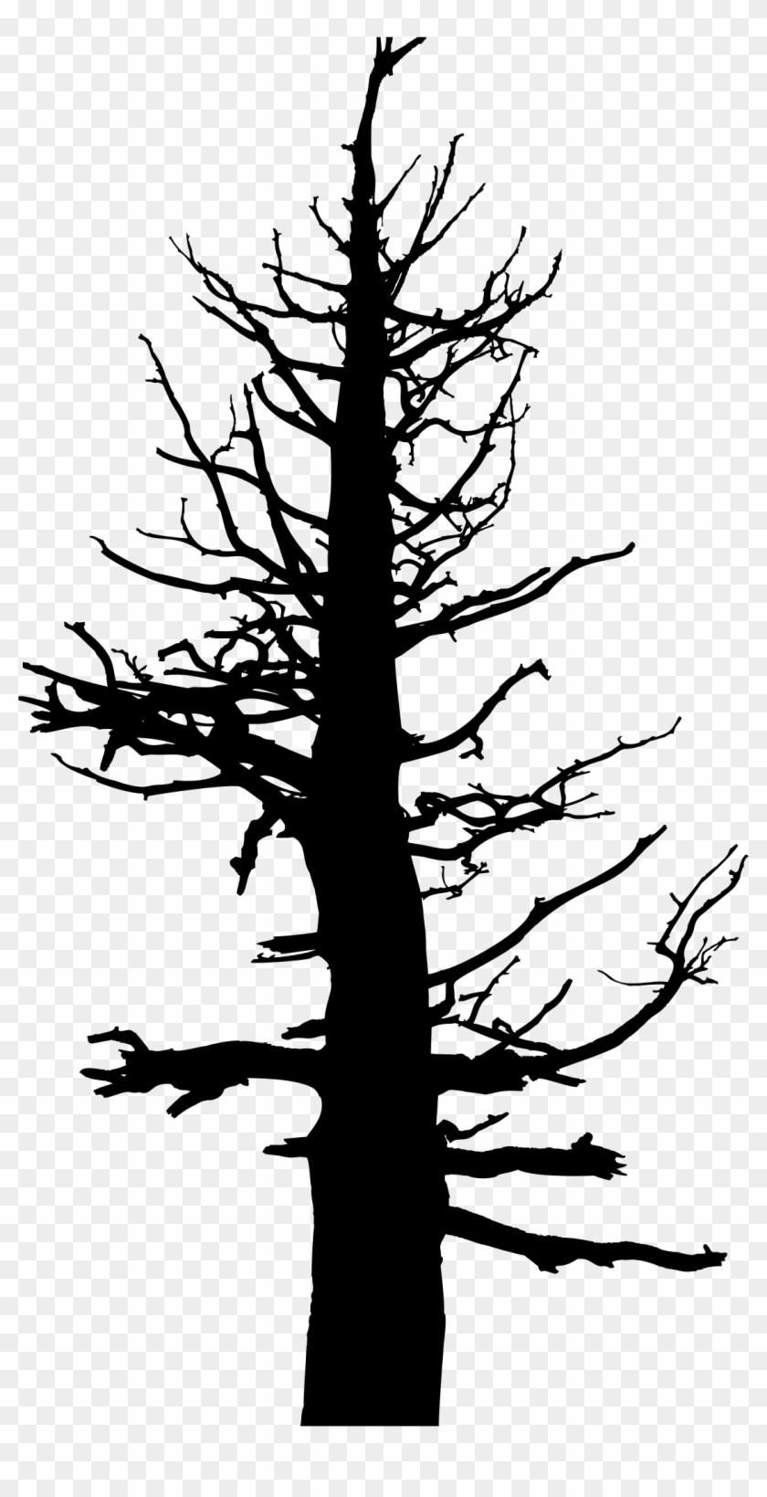 Dead Tree Trunk Clip Art Clipart Free Download - Old Dead Pine Tree #401351