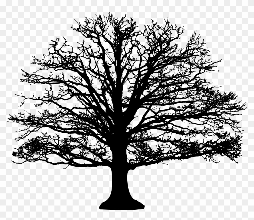 Tree Silhouette - 5'x7'area Rug #401359