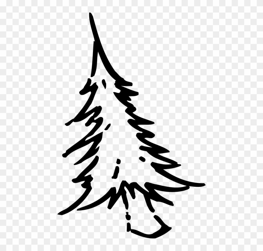 Christmas Tree Line Drawing 9, - Kerstboom Tekening Png #401383