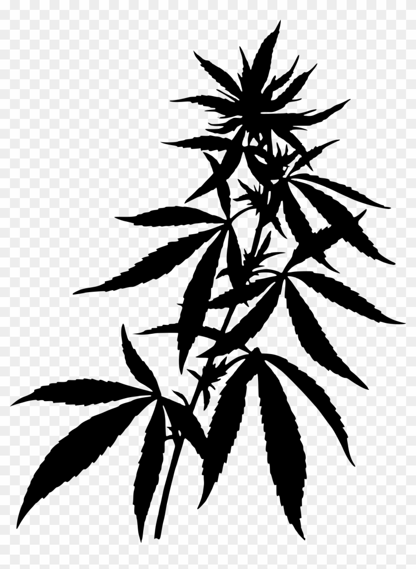 Line Drawing Pics - Cannabis Plant Transparent #401385