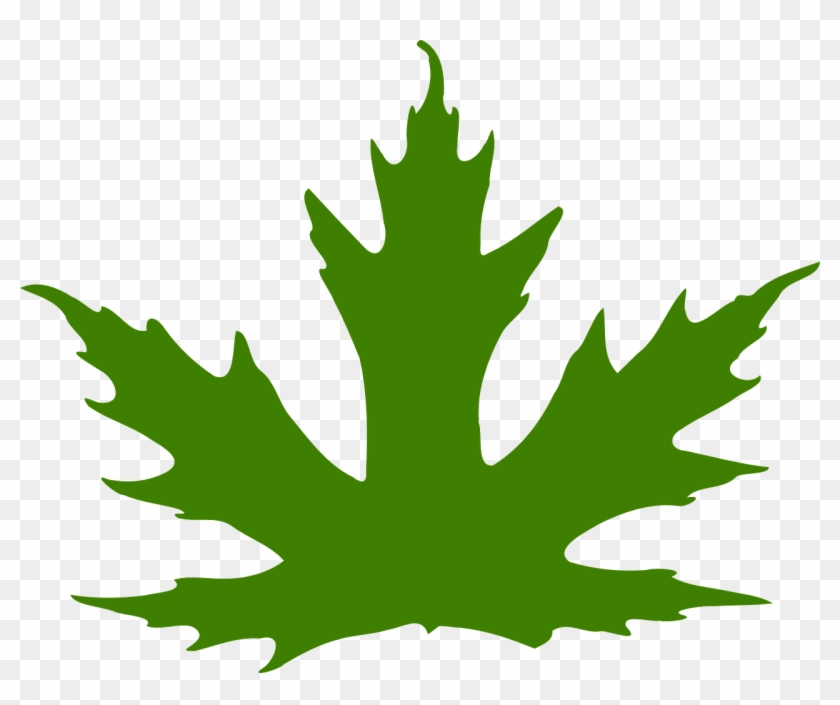 Leaf Maple Leaf Maple Nature Png Image - Maple Leaf Clip Art #401489