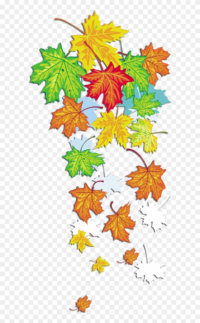 Golden Autumn Season Leaf Summer - Кленовые Листья На Прозрачном Фоне #401505