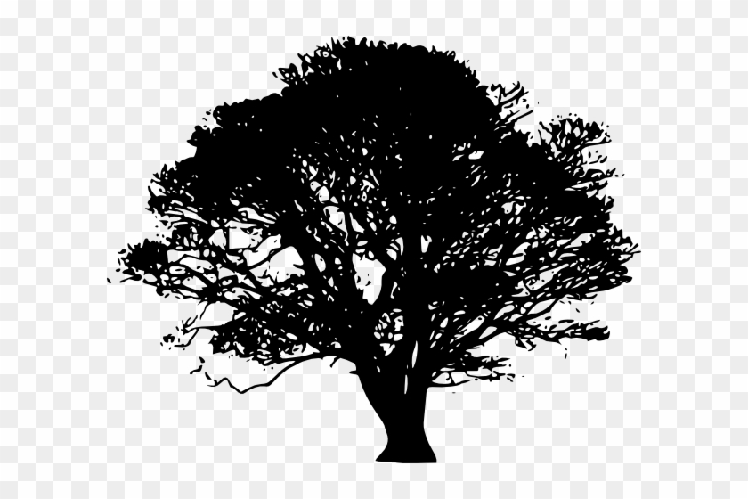 Black Tree Silhouette Clip Art At Clker Com Vector - Fig Tree Silhouette #401627