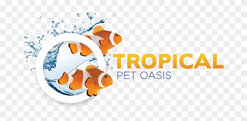 Tropical Pet Oasis Logo Web Medium - Tropical Pet Oasis #401684