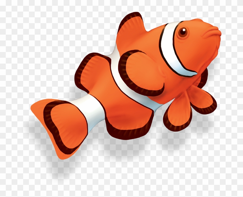 Clown Fish - Clown Fish Png #401724