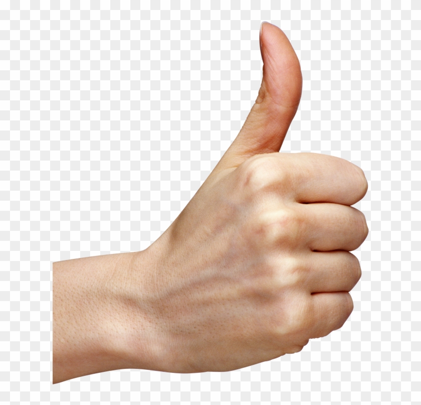 Pin Free Clipart Hands - Thumbs Up Png #401967