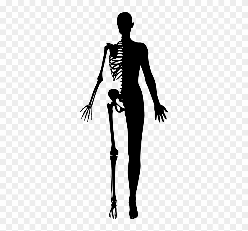 Human Body Silhouette transparent background PNG cliparts free download
