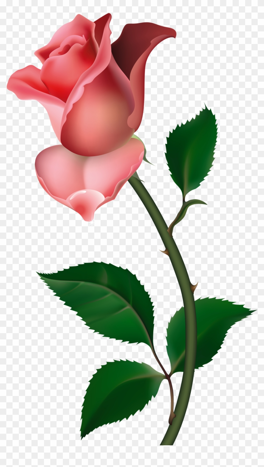 Roses Free Rose Clipart Public Domain Flower Clip Art - All About Grief [book] #402367