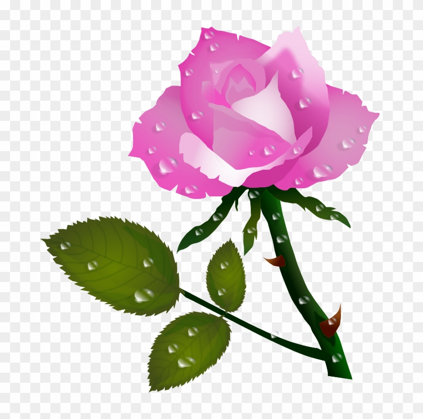 Pink Roses Clipart - Rosas Png #402372