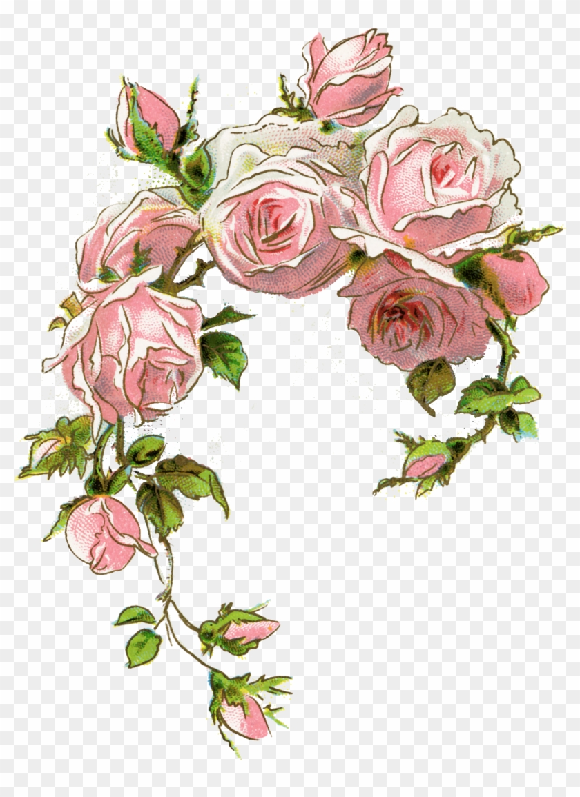 Pin By Jolanta Niewiadomska On Kwiaty2 - Vintage Pink Roses #402376
