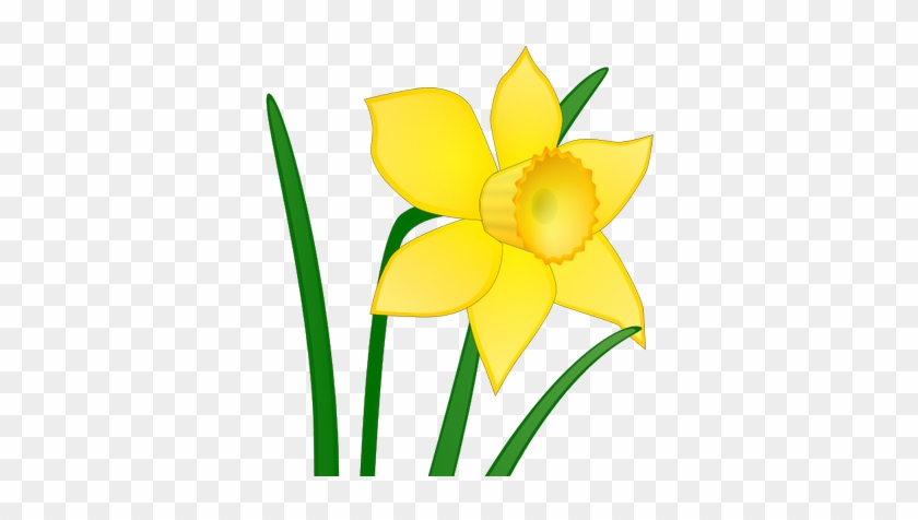 Bargoed Bowling Club - Daffodil Clip Art #402478