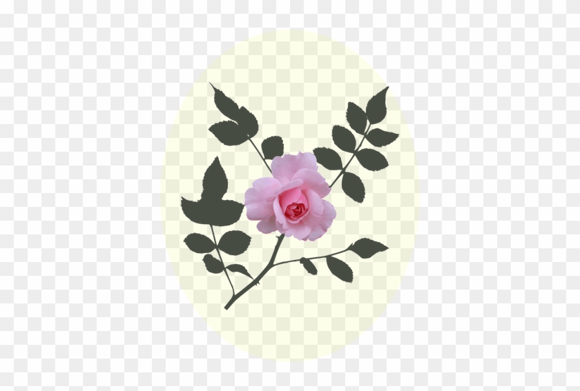 Pink Rose Vector Image - Rose #402500