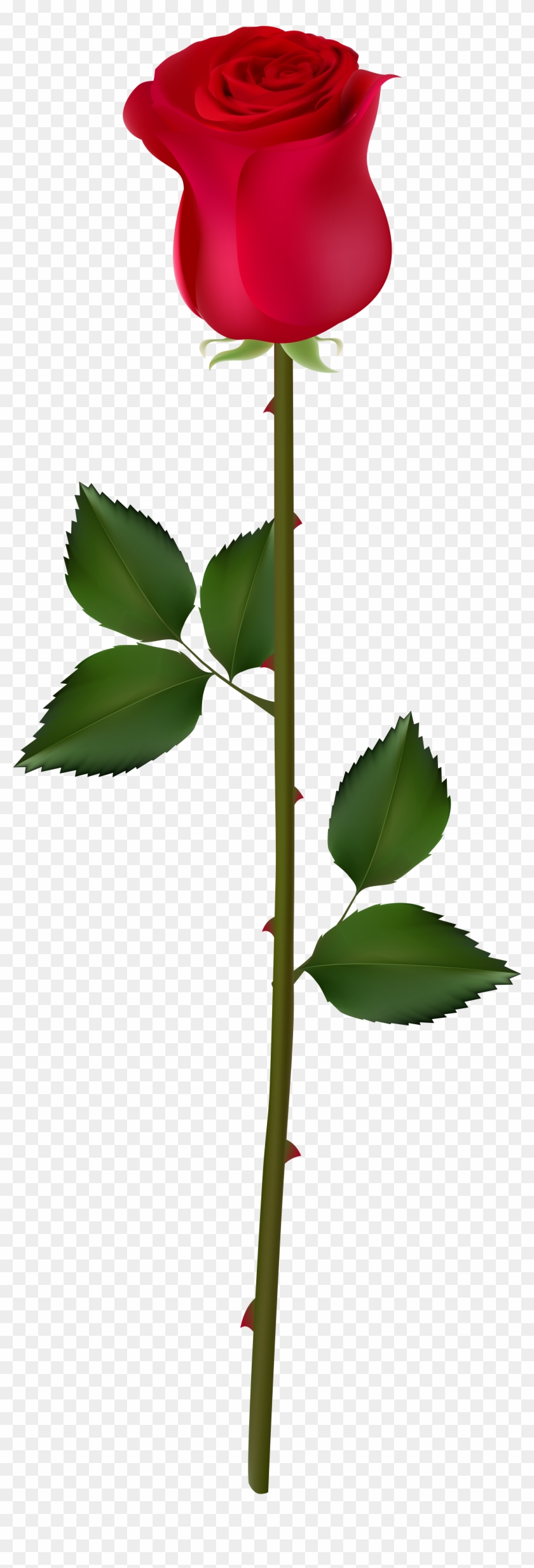 Rose Bud Clipart - Rose Bud Png #402512