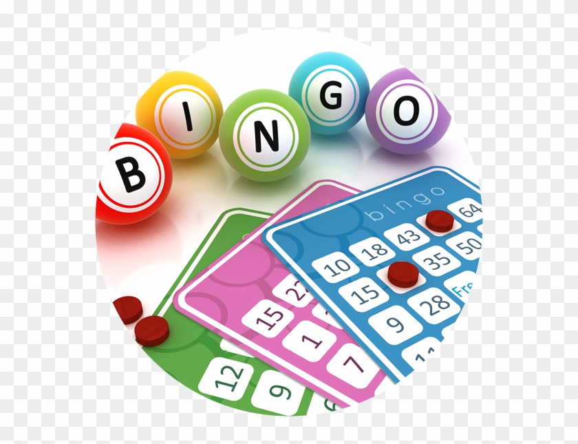 Bingo - Bingo #402731