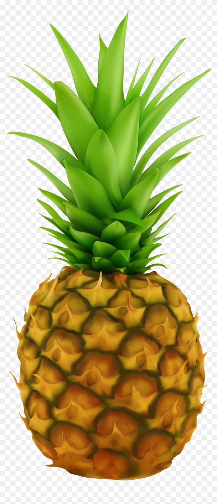pineapple transparent