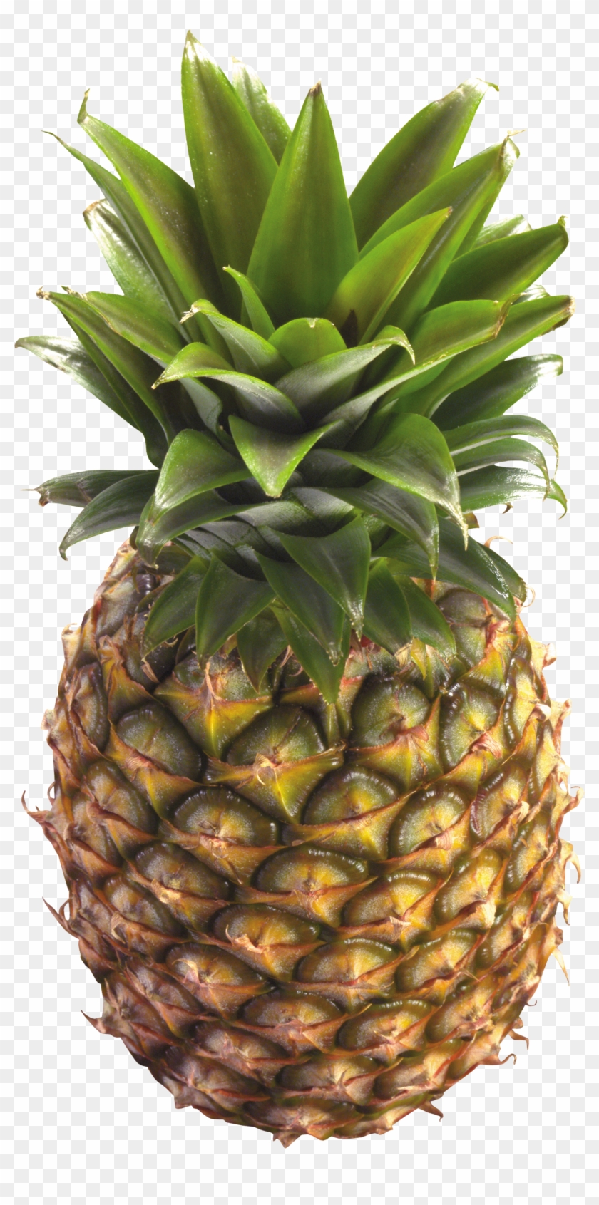 Fruit Clipart With Clear Background - Pineapple Png #402958